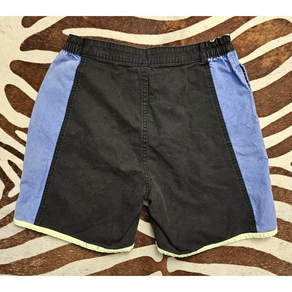 Vintage Pacific Coast Highway PCH Colorblock Shorts Size 30 Surf